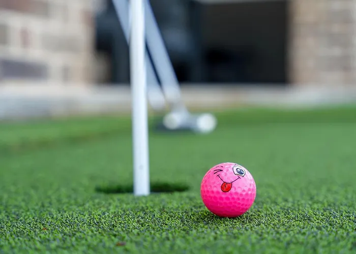 Vakantiehuis Pickleball Hottub Minigolf With Downtown Worth Views!